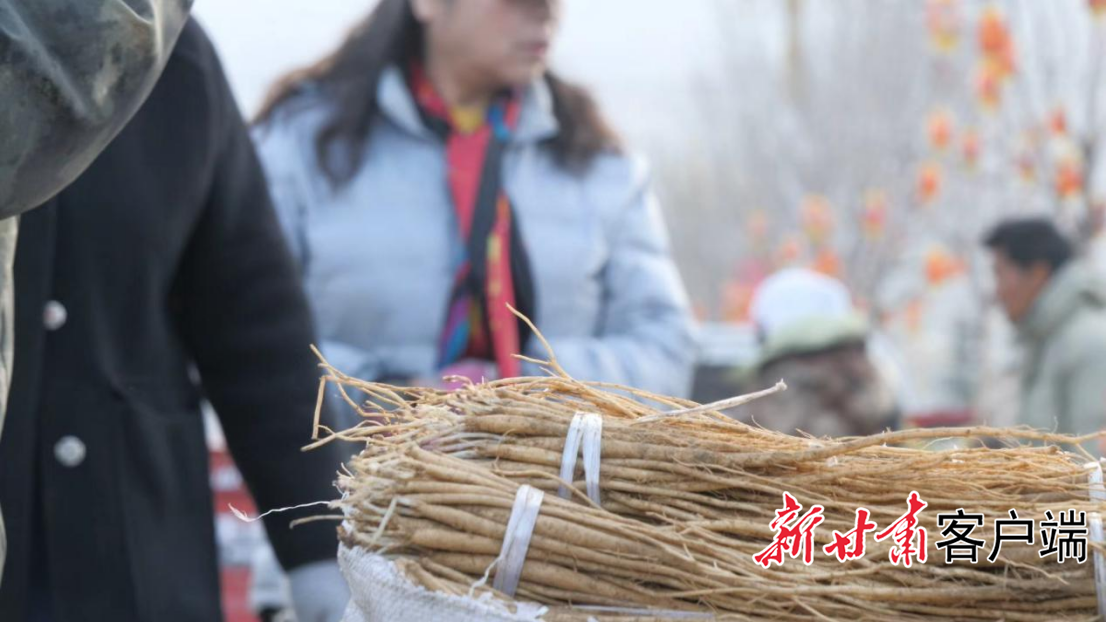 岷县梅川镇中药材种苗交易市场道地中药材种苗全面上市