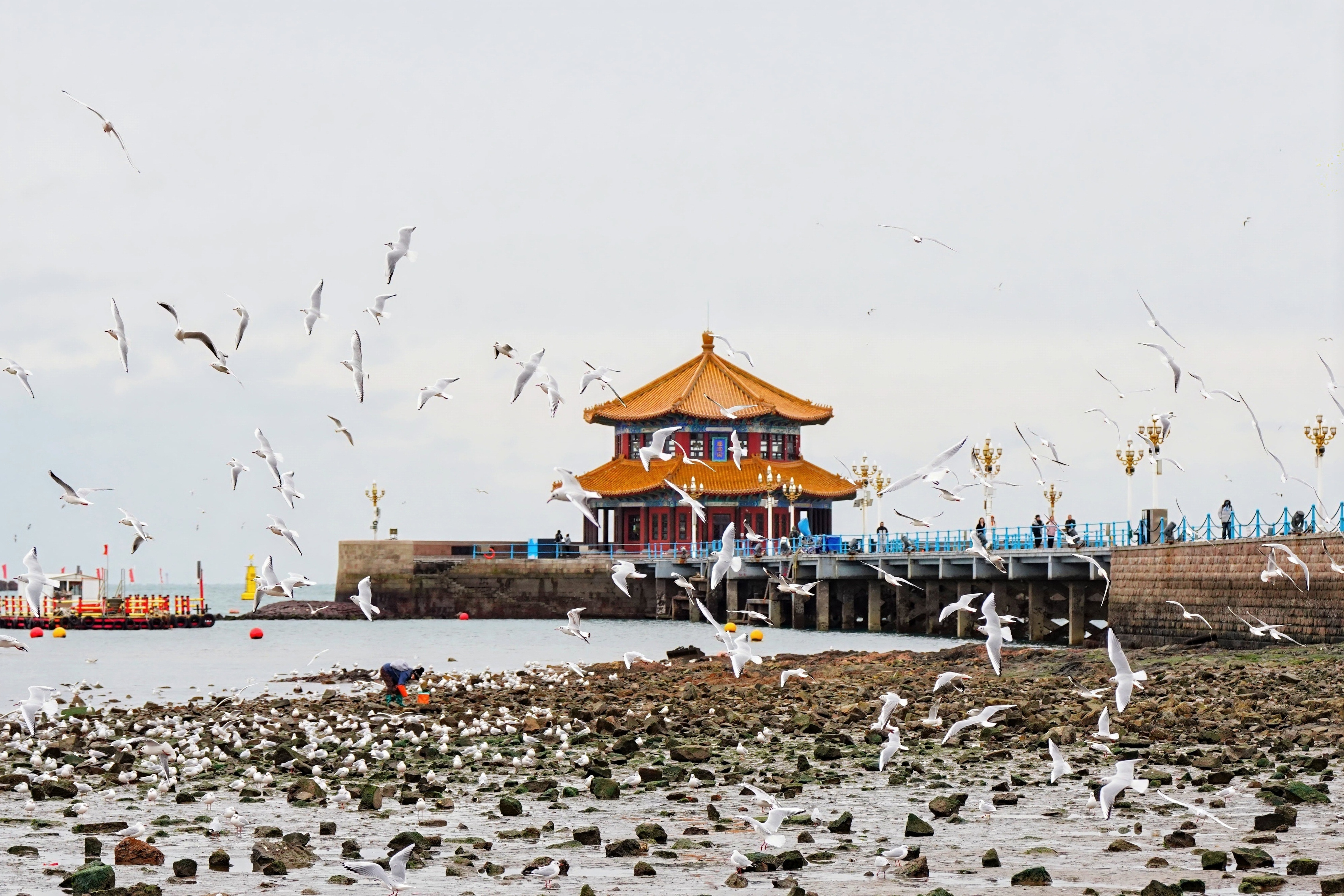 ���ӹ�ע����һ����Ÿ�Ĵ�Ǩ�ֶ���3��28��ջ�ż���