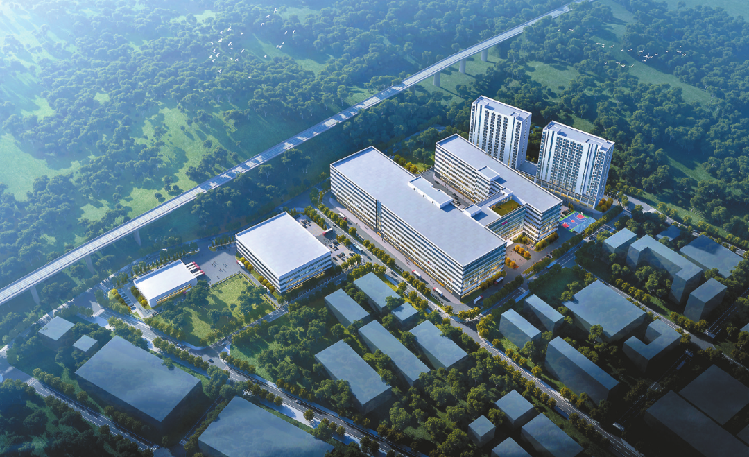 “十五五”开局,宝安闯、创、干