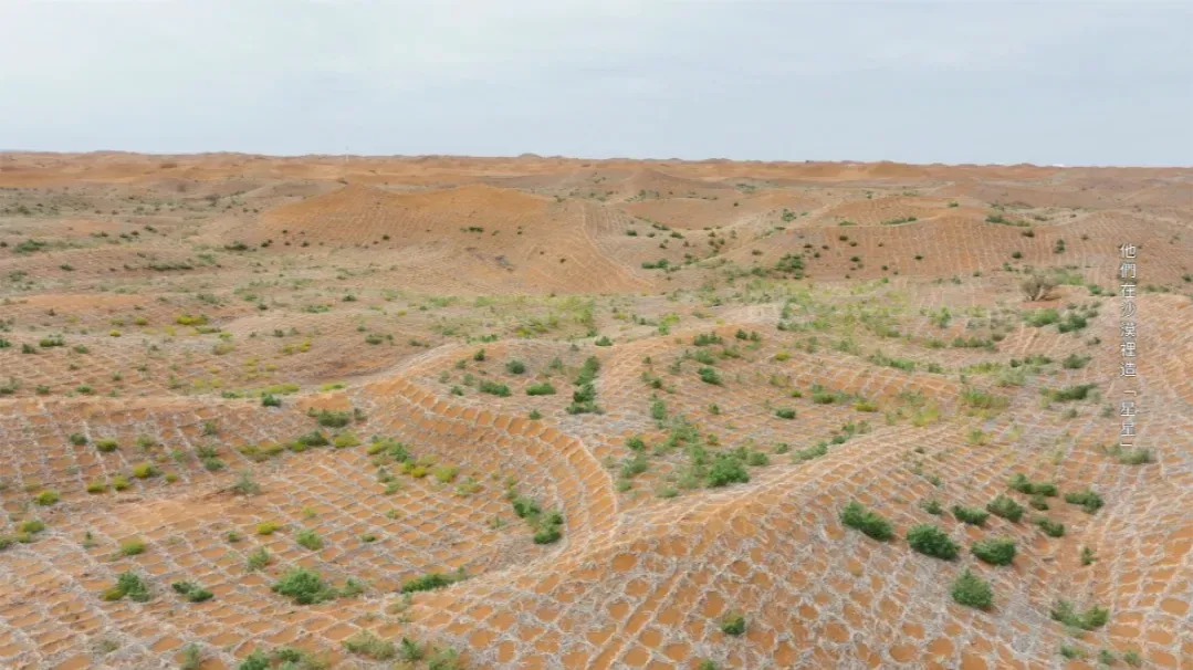 腾格里沙漠后退25公里！麦草方格不是风景，却是所有风景存在的前提