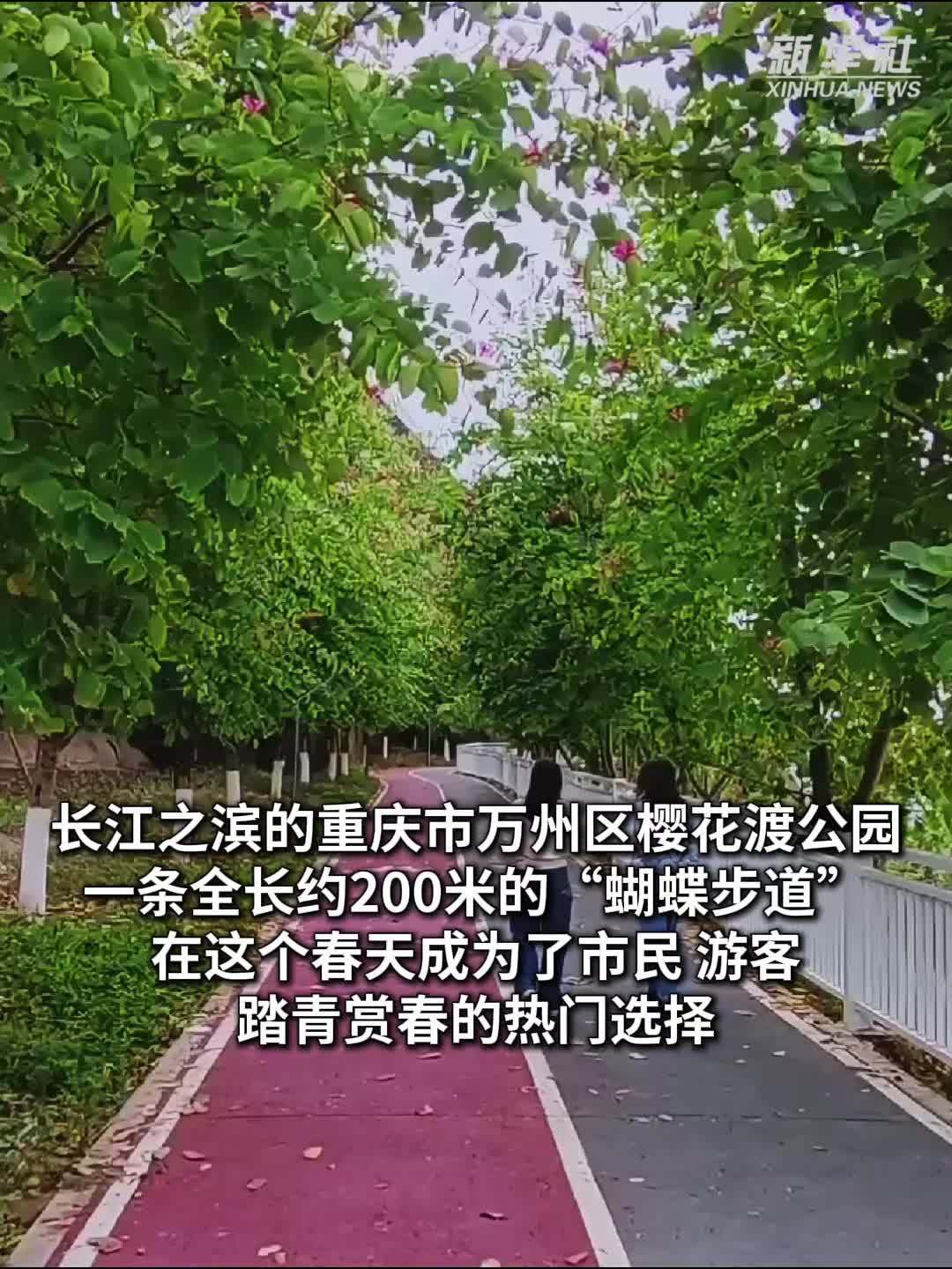 秀我中国｜重庆万州：“蝴蝶步道”春日繁花引客来