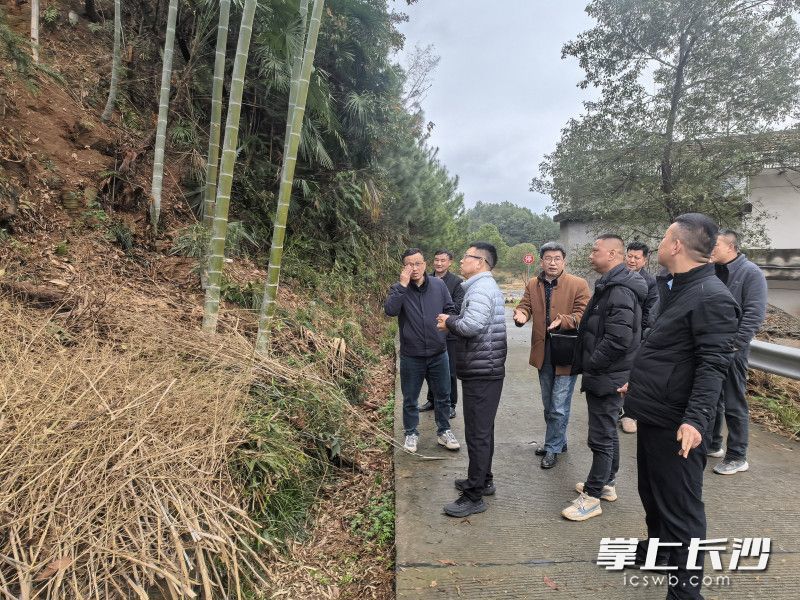 相关古树名木保护专家在现场调研。