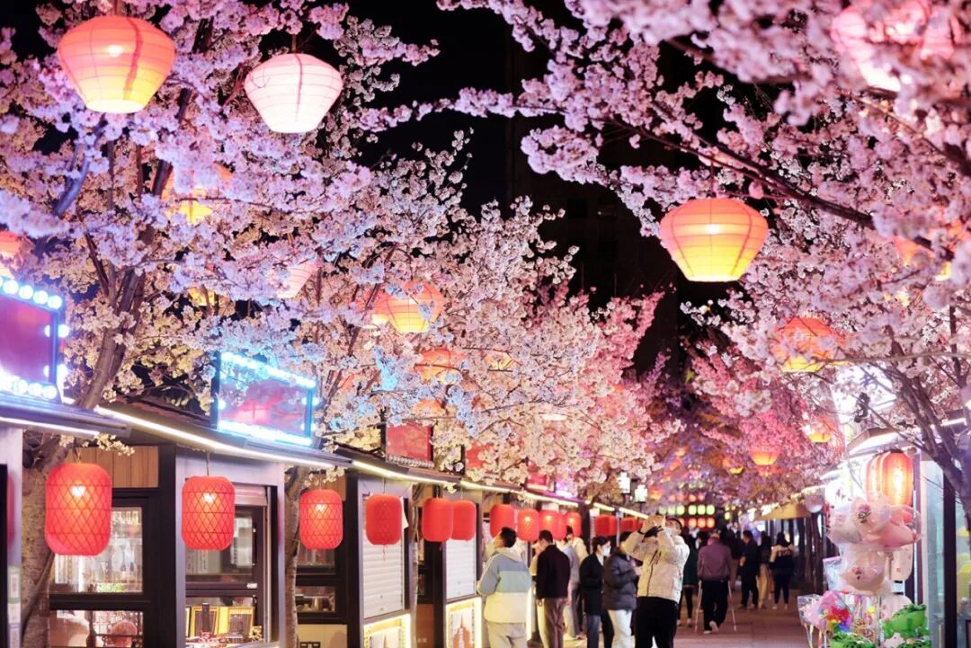 春光为引，徐州“春日经济”的破局与深耕