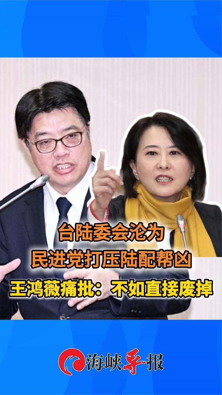 台陆委会沦为民进党打压陆配帮凶，王鸿薇：不如直接废掉