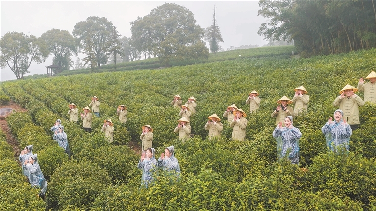 庐山市：喊山开茶（图）