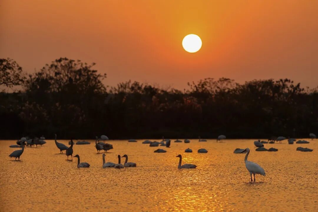 视觉江西 张龙 摄