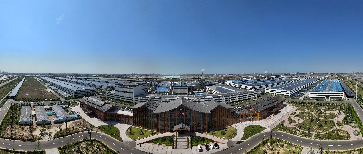 岁月有情匠心为证丨鲁丽板材携手关晓彤书写家的专注答卷(图2)