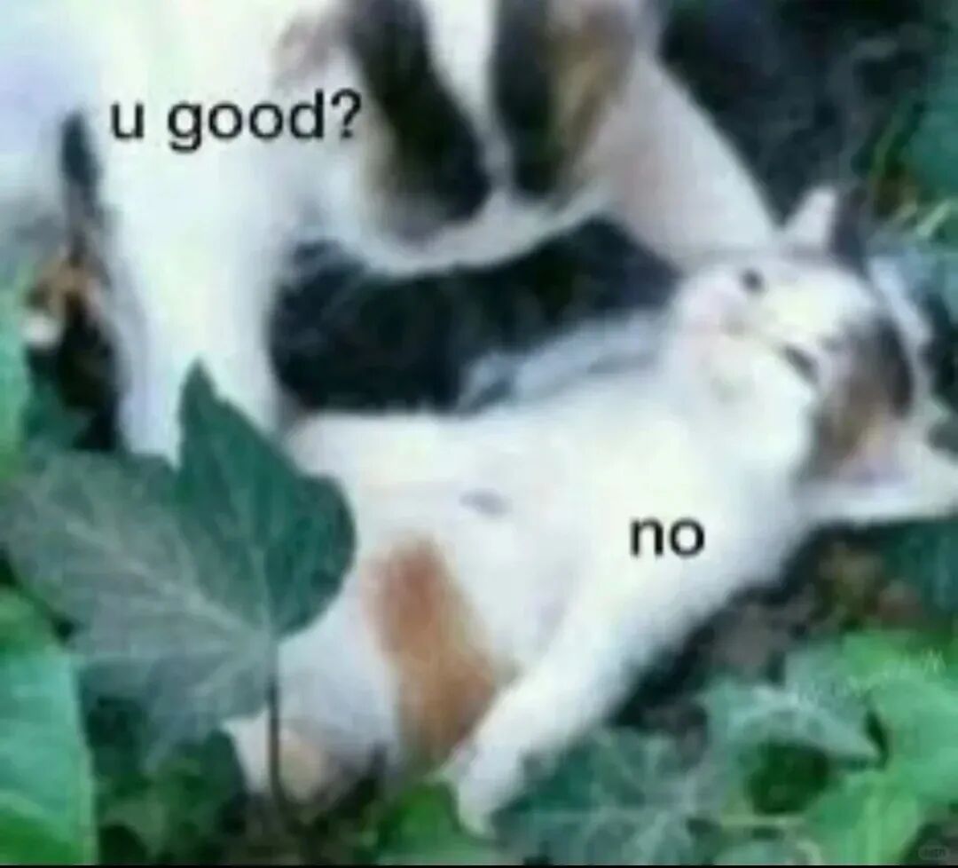 ▲图片来源：小红书