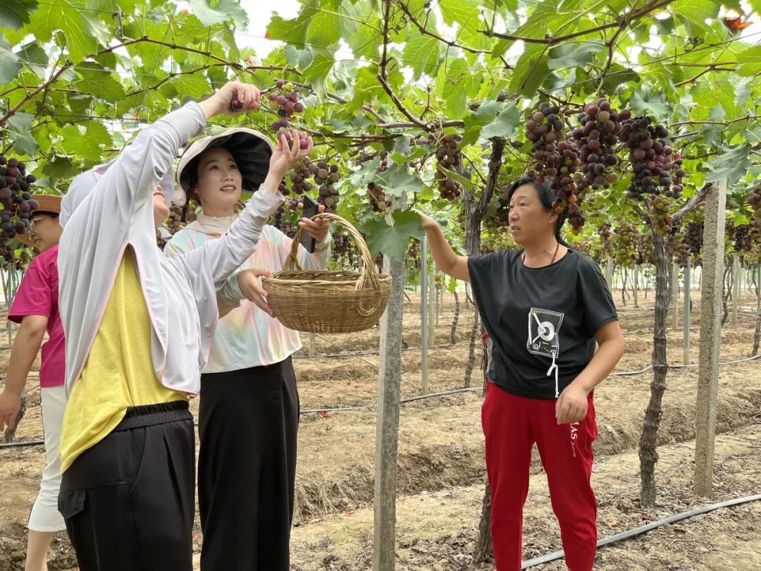 1696745552488364 (1).jpg