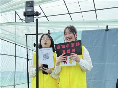 一颗番茄,凭什么“红”遍宁波?