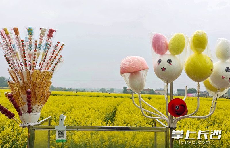 美食摆在花田间，想吃扫码自取。