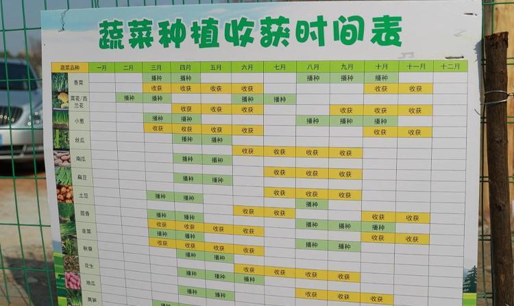 “章灵丘的田园”公布的“蔬菜种植收获时间表”。新华社记者 叶婧 摄