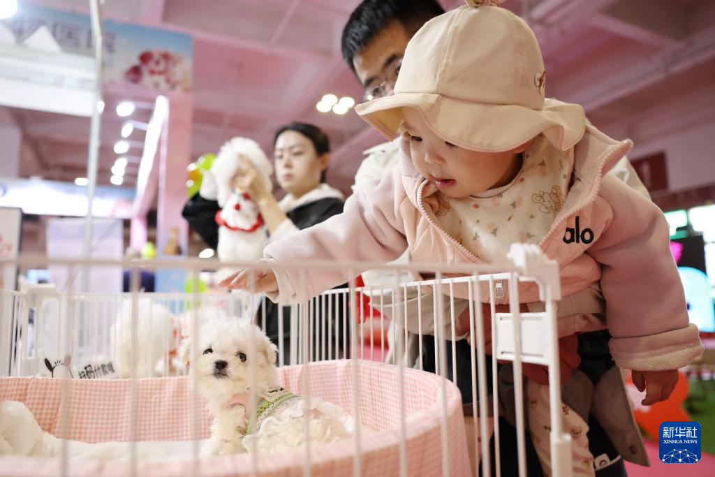 3月27日，小朋友在2026西部宠物展兰州展上与宠物犬互动。新华社记者　陈斌　摄