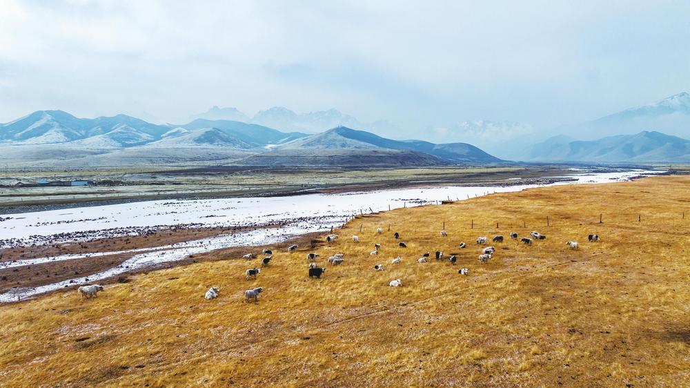 近日，天祝县抓喜秀龙草原春雪覆盖，云雾萦绕山间，长城烽燧静静矗立。雪山、河流、牧场相映成趣，绘就一幅清新灵动的高原春日生态画卷。新甘肃&middot;甘肃经济日报通讯员　赵世鹏　摄