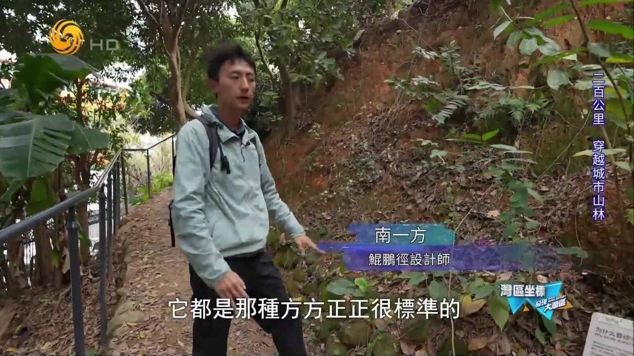 为什么有人乐此不疲地打卡鲲鹏径？我们从七段起点出发，体验山林野趣