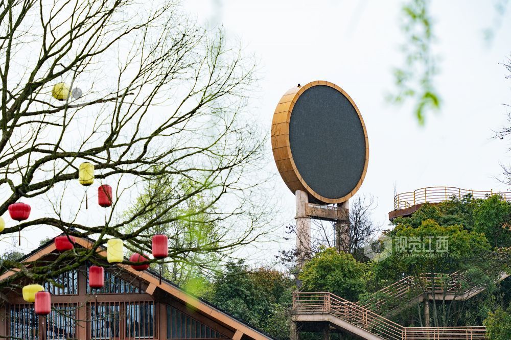 2026年3月20日，江西省金溪县合市镇游垫古村春雨如丝，樱花绽放，与柳条相映成趣。