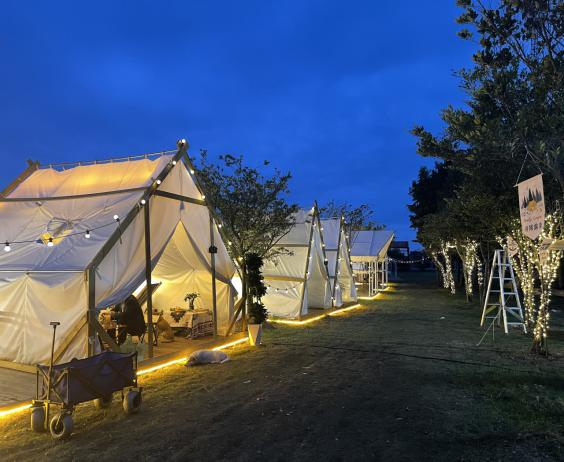 清明赴北仑｜花满山海茶煮春风，解锁春日限定浪漫