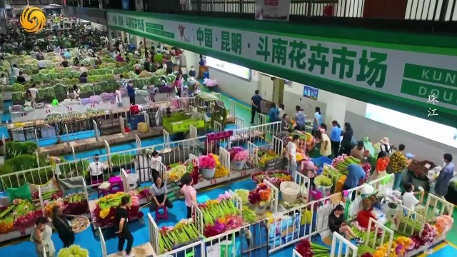 江头江尾的鲜花之城，珠江流域植物多样性的生动写照