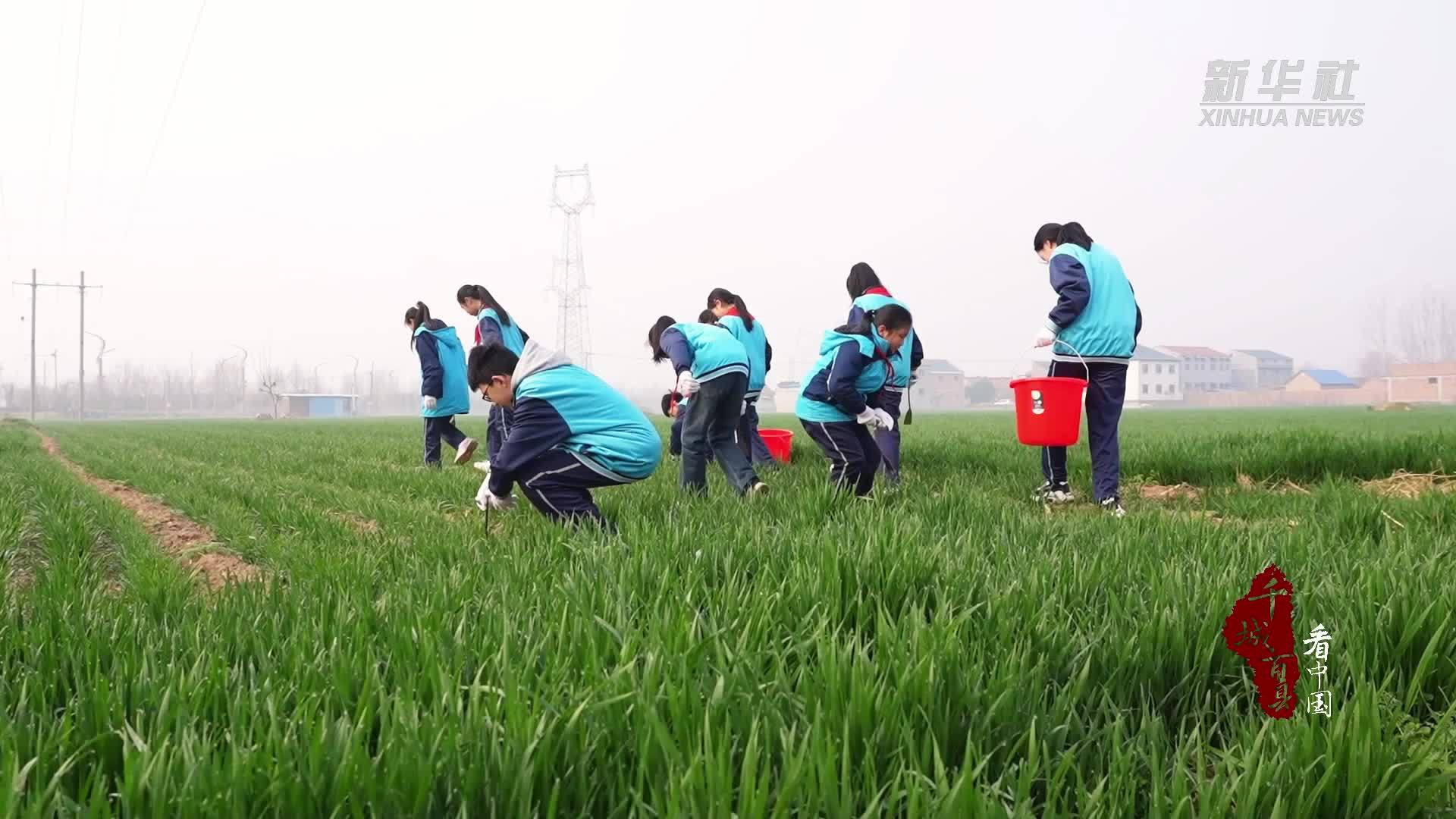 千城百县看中国｜山东成武：解锁多彩春日课堂