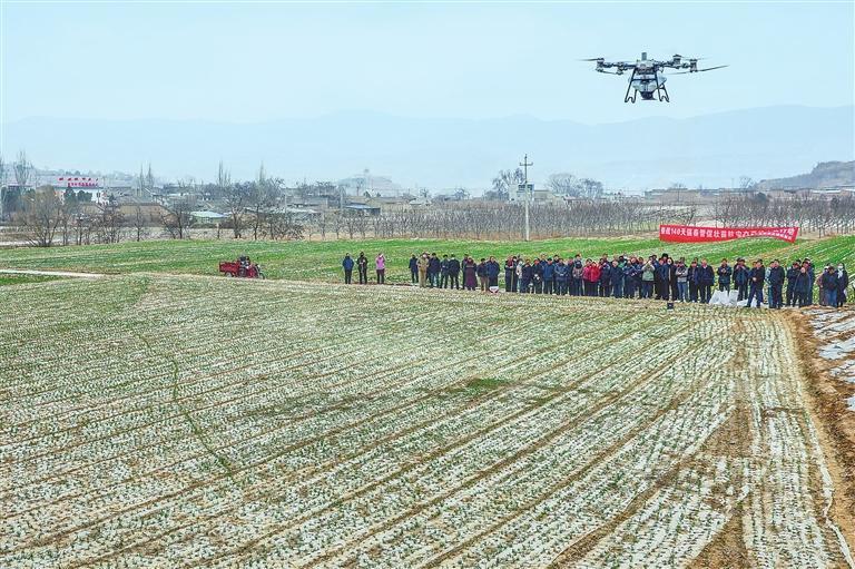 国家小麦产业技术体系兰州综合试验站与通渭县科技特派团组织专家,在通渭县常河镇南河村深入田间地头开展春季田间管理技术现场培训,全力保障夏粮丰产丰收。新甘肃·甘肃日报通讯员 张子斌