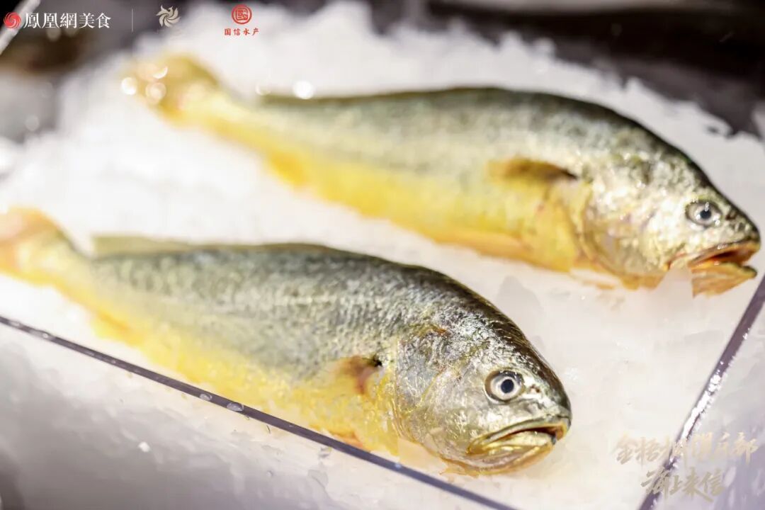 国信水产&times;金梧桐“海上来信”深圳站：一场关于“鲜”的风味对话