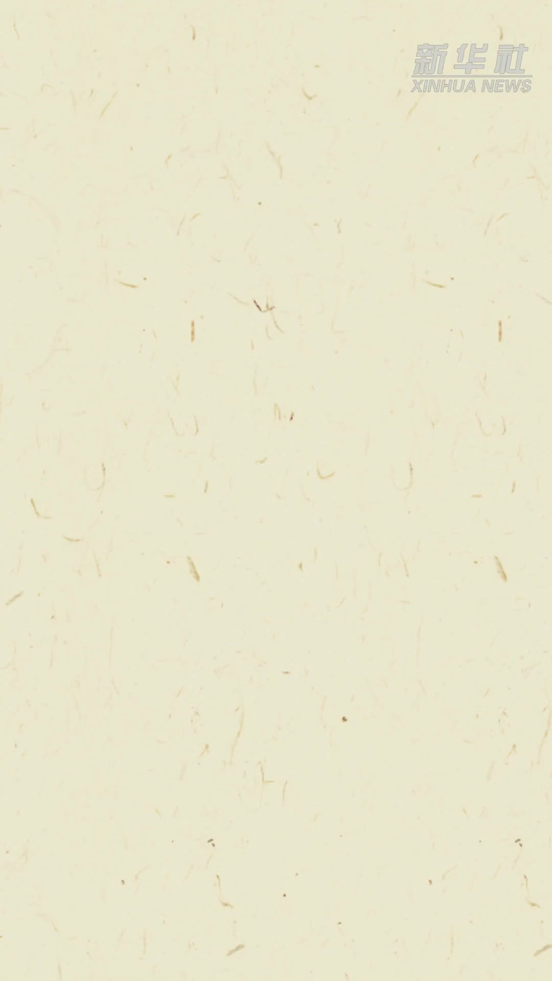 国际青年足球邀请赛：U19国足1:0胜澳大利亚U19队