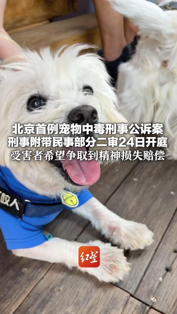 北京首例宠物中毒刑事公诉案 刑事附带民事部分二审24日开庭 受害者希望争取到精神损失赔偿 被告人张某某一审获刑4年