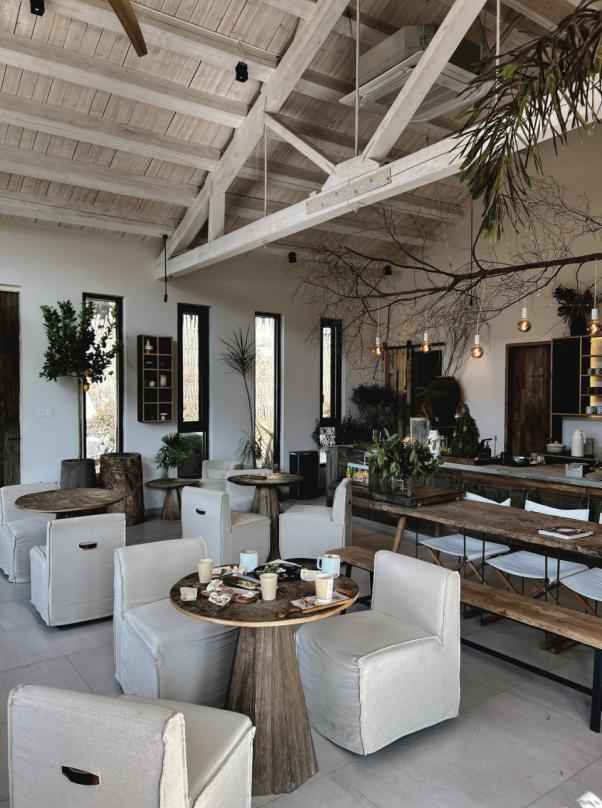 清明赴北仑｜花满山海茶煮春风，解锁春日限定浪漫