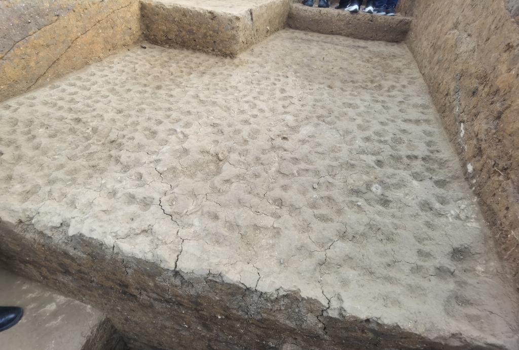 “小台”发掘地点内部分夯面上夯窝密布。新华社记者王凯 摄