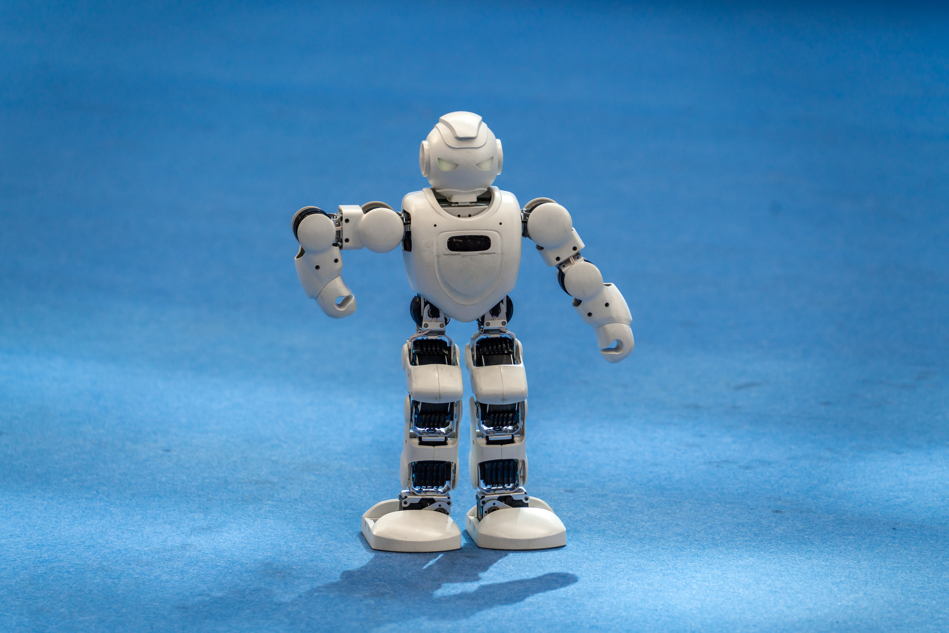 设置数据采集场景 助青岛实现人形机器人走进各行各业