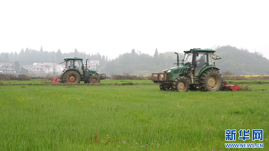 在修水县,农机手驾驶旋耕机进行耕地作业。新华网发 吴圆生 摄