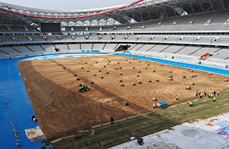 体育场正在进行草坪铺设和跑道施工