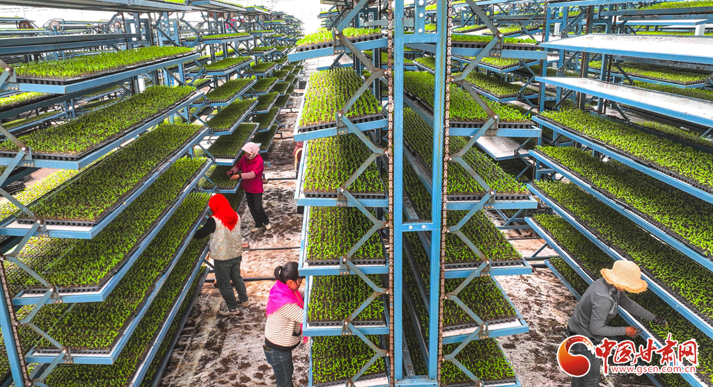 高原夏菜宝宝住进智能公寓