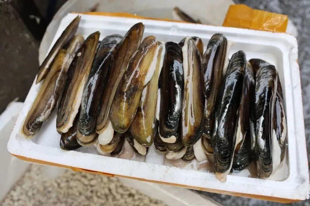 阜南踏青三件套！喝焦陂美酒，品曹集蚬子，赏中岗花海，这个周末就出发！凤凰网安徽_凤凰网