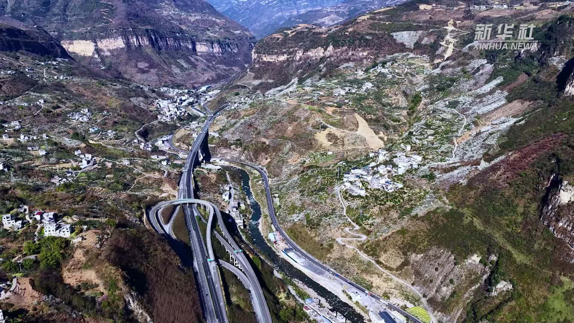 千城胜景｜云南大关：李花染春山