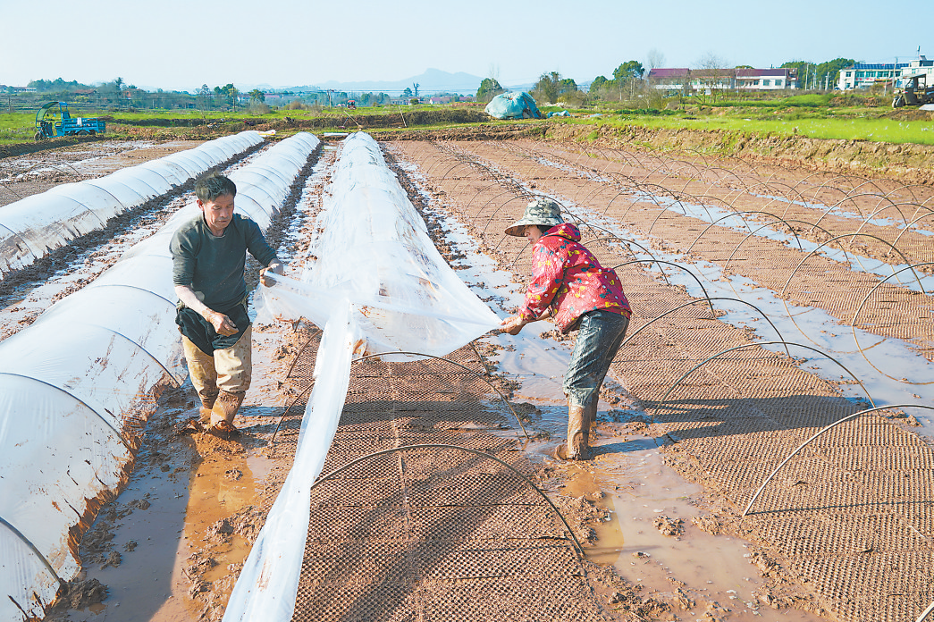 农资先行、农机助力、科技赋能，抚州各地奏响春耕“进行曲”