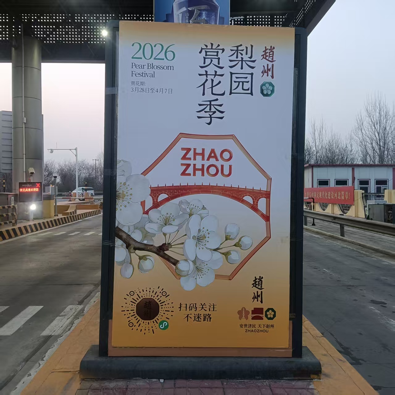 河北高速集团青银分公司赵县收费站深耕“高速+旅游” 护航赵州梨花赏花季