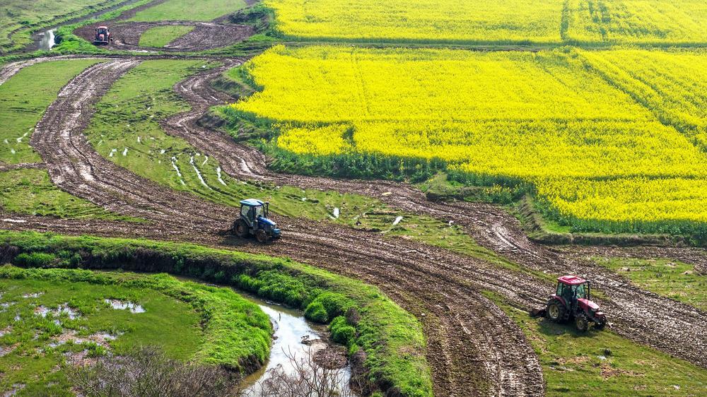 樟树市：备春耕（图）
