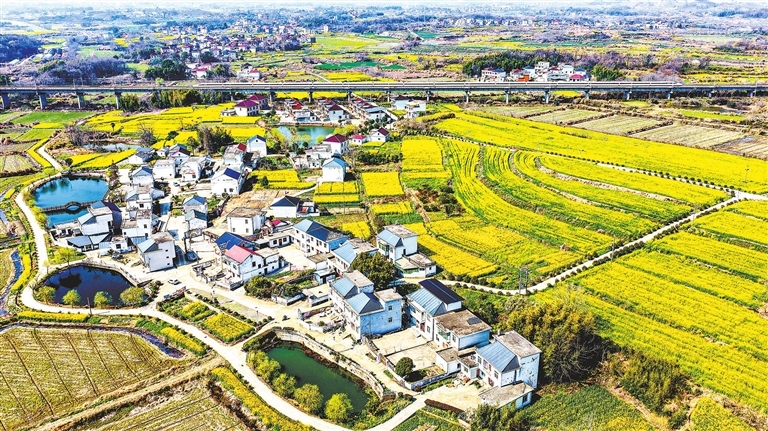 湖口县：和美乡村（图）