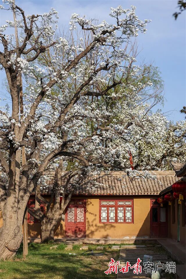 图源：新甘肃&middot;甘肃日报记者　冯乐凯