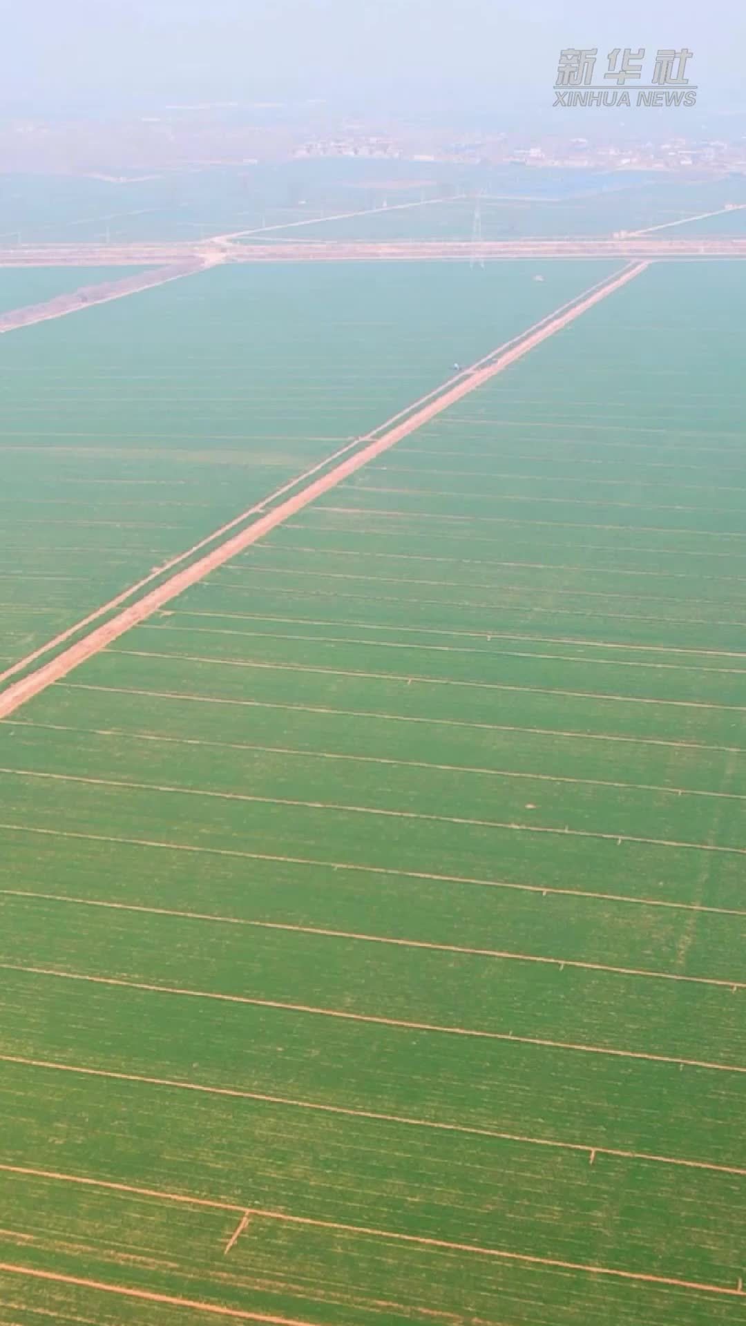 春耕新力量｜这个“田管家”，“管”出田间好收成