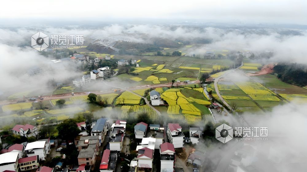 2026年3月26日，江西交投交工7标承建长赣高铁遂川段施工现场机械轰鸣、焊花飞溅，钢筋笼加工、泥浆检测、混凝土浇筑等工序有序开展，全力推进桥梁桩基施工，为线路早日通车筑牢根基。
