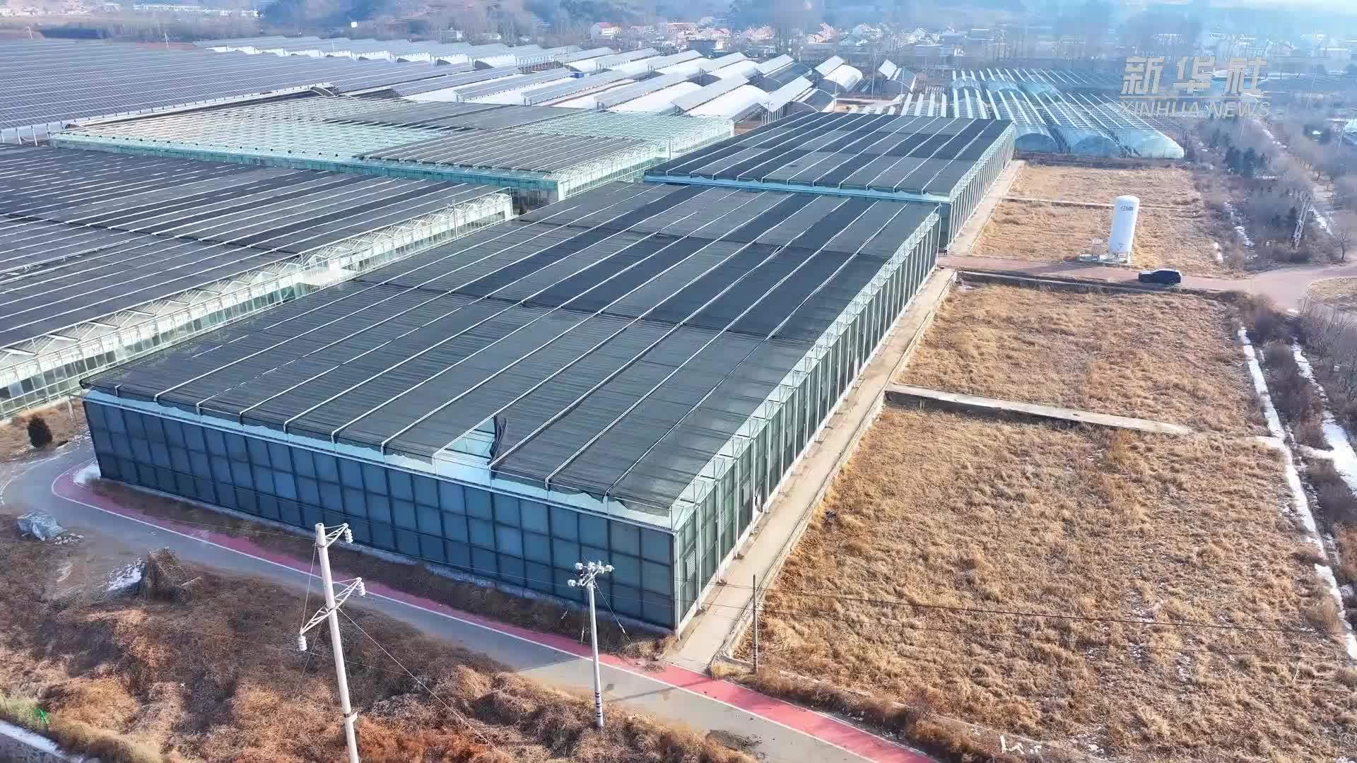 河北承德县：海马养殖拓宽山区致富路