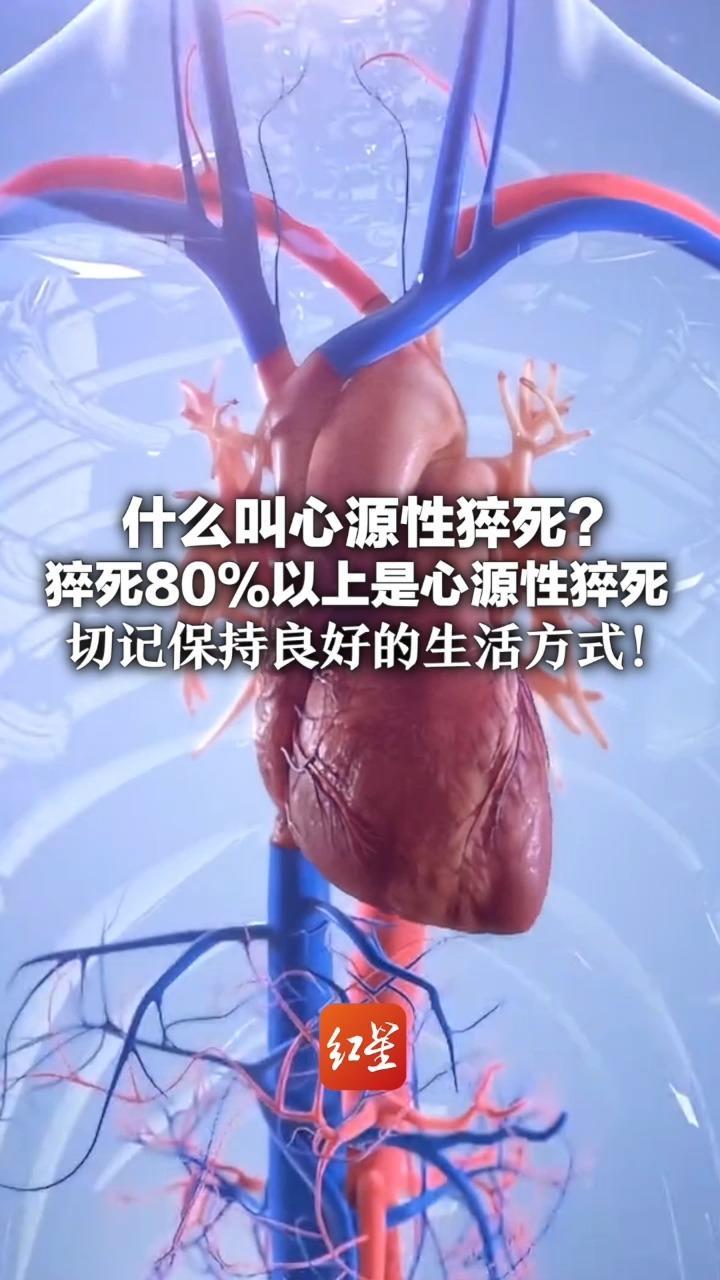 什么叫心源性猝死？ 猝死80%以上是心源性猝死 切记保持良好的生活方式： 少熬夜、戒烟戒酒、避免久坐不动