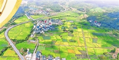 在宁都县洛口镇,稻田、村庄、溪流和乡道交织在一起,构成一幅生态宜居的和美乡村画卷。郭素敏 摄