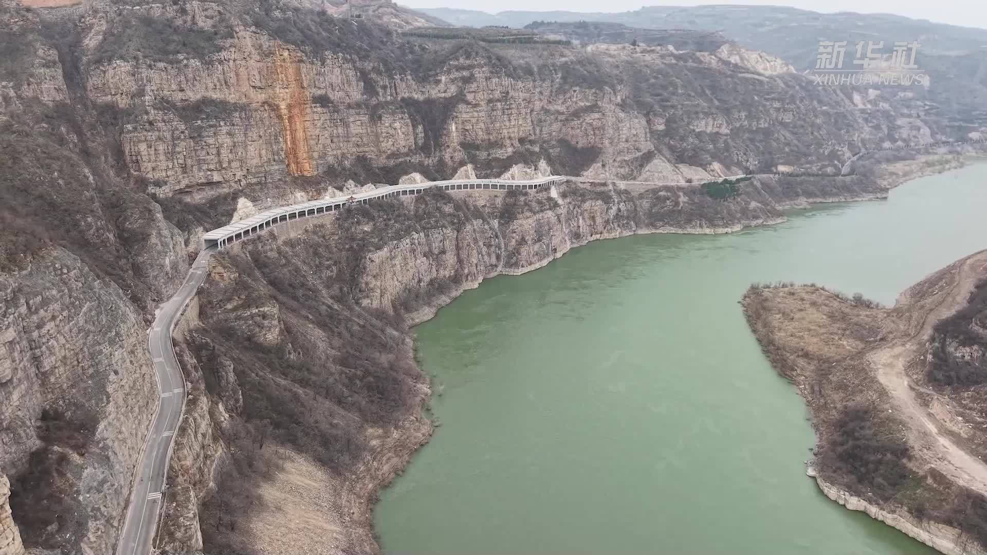 山西平陆：苍鹭黄河崖壁筑春巢