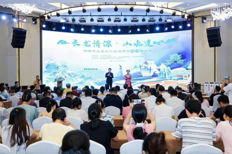 龙山县文化旅游协作长沙推介会现场。