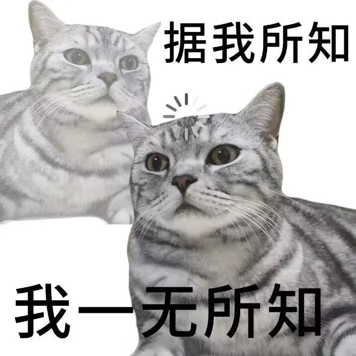 ▲图片来源：猫毛的猫