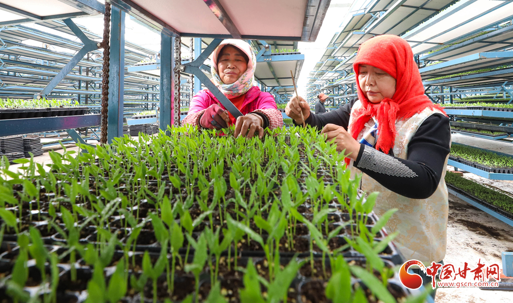 高原夏菜宝宝住进智能公寓