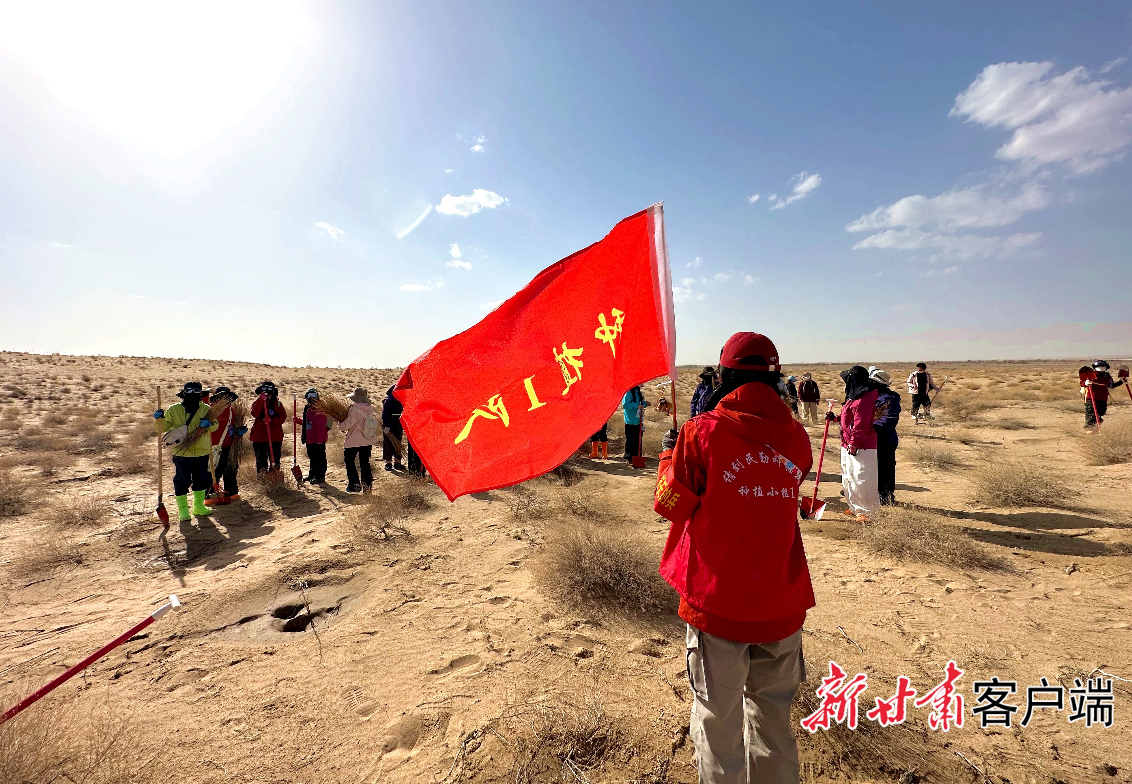 种植小队在划分植树任务